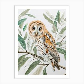 Tawny Owl Marker Drawing 1 Art Print