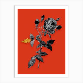 Vintage Provence Rose Black and White Gold Leaf Floral Art on Tomato Red n.0162 Art Print