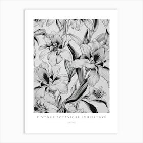 Orchid B&W Vintage Botanical Poster Art Print