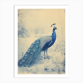 Cyanotype Inspired Peacock Snow Scene 3 Art Print