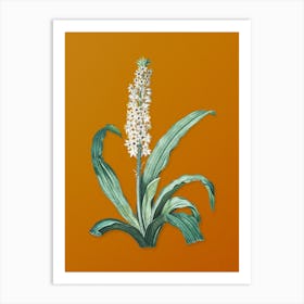 Vintage Eucomis Punctata Botanical on Sunset Orange n.0862 Art Print