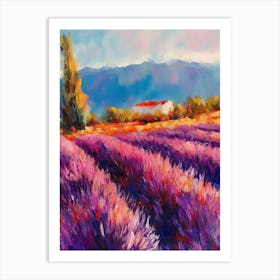 Oil Painting Lavender Field 1 Art Print