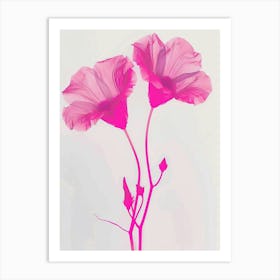 Hot Pink Morning Glory 2 Art Print