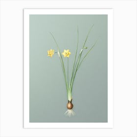 Vintage Daffodil Botanical Art on Mint Green n.0172 Art Print