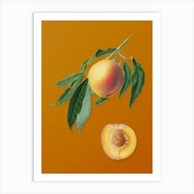 Vintage Peach Botanical on Sunset Orange n.0407 Art Print