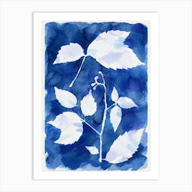 Cyanotype Botanical 1 Art Print