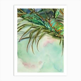 Spiny Lobster II Storybook Watercolour Art Print