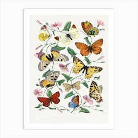 Butterflies And Flowers Art Print