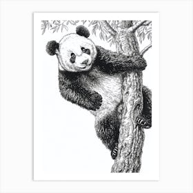 Giant Panda Cub Climbing A Tree Ink Illustration 2 Art Print