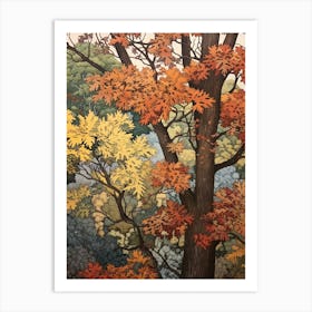 Hickory 1 Vintage Autumn Tree Print  Art Print