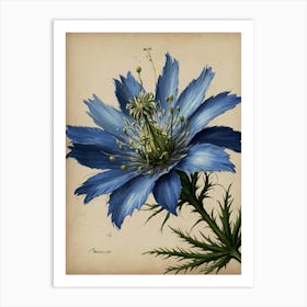 Blue Cosmos 1 Art Print