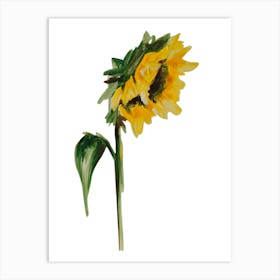 Sunflower Painting Art Print