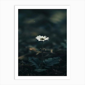 Flower In The Dark 68 Art Print