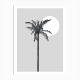 Palm Tree 4 Art Print