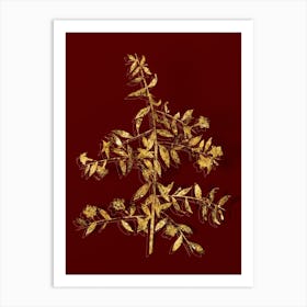 Vintage Goji Berry Branch Botanical in Gold on Red 1 Art Print