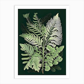 Lady Fern Wildflower Vintage Botanical 1 Art Print