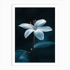 Lily Flower 1 Art Print