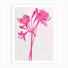 Hot Pink Agapanthus 2 Art Print