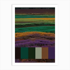 Lavender Field Art Print