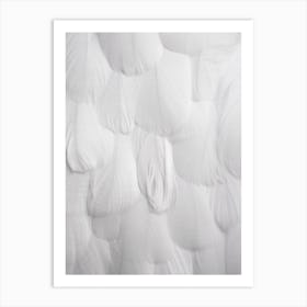 Soft White Feathers Art Print