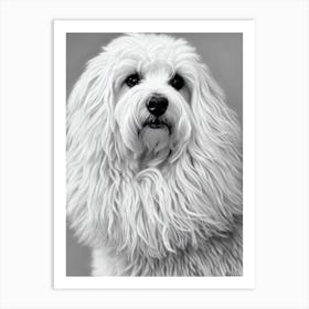 Puli B&W Pencil Dog Art Print