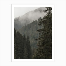 Forest Scenery Art Print