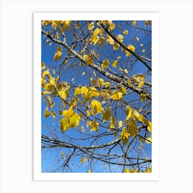 Autumn Leaves 5 Art Print