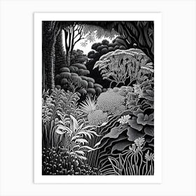 San Diego Botanic Garden, 1, Usa Linocut Black And White Vintage Art Print