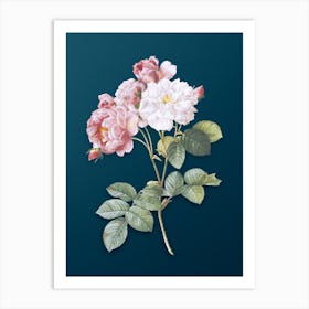 Vintage Pink Damask Rose Botanical Art on Teal Blue n.0341 Art Print