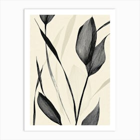 Black And White Leaves Art Print