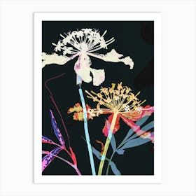 Neon Flowers On Black Queen Annes Lace 1 Art Print