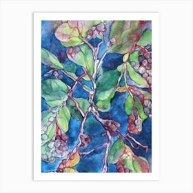 Salal Berry Classic Fruit Art Print