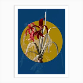 Aagql Vintage Botanical Sprekelia On Circle Yellow On Blue Art Print