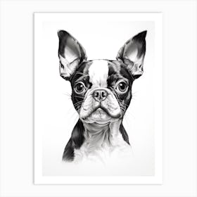 Boston Terrier Dog, Line Drawing 4 Art Print
