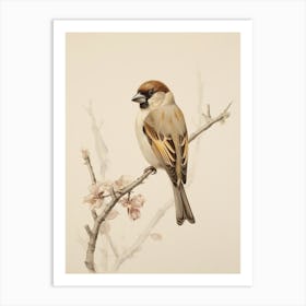 Vintage Bird Drawing Finch 2 Art Print