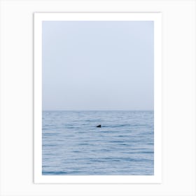 A pilot whale in the Atlantic Sea, Canary Islands Art Print