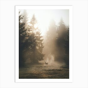 Deer In The Forest Poster