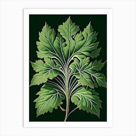 Lovage Leaf Vintage Botanical 1 Art Print
