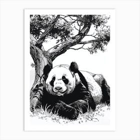 Giant Panda Laying Under A Tree Ink Illustration 3 Art Print