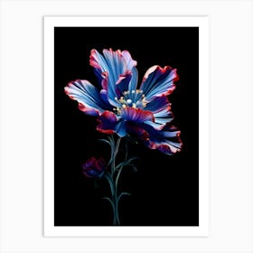 Blue Poppy Flower Art Print