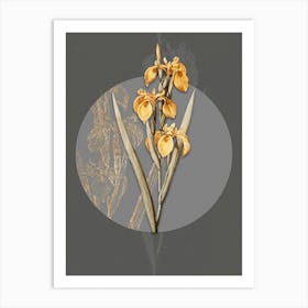 Vintage Botanical Irises on Circle Gray on Gray n.0211 Art Print