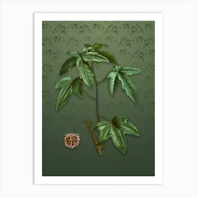 Vintage American Sweetgum Botanical on Lunar Green Pattern n.0042 Art Print