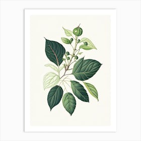 Snowberry Leaf Vintage Botanical 3 Art Print
