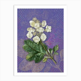 Vintage Oakleaf Hydrangea Botanical Illustration on Veri Peri n.0794 Art Print