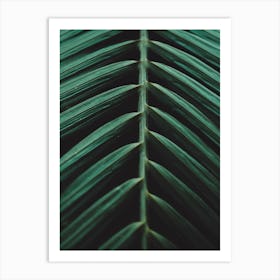 Green Palm Leaf Ii Art Print