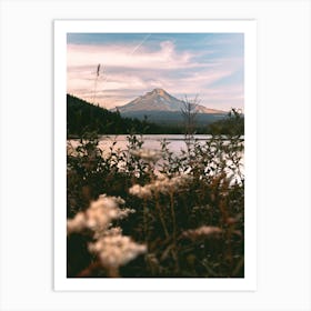 Mount Hood Wildflower Adventure Art Print