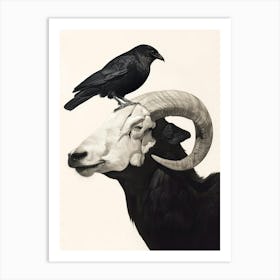 Crow And Ram Art Print