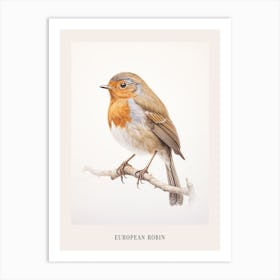 Vintage Bird Drawing European Robin 1 Poster Art Print