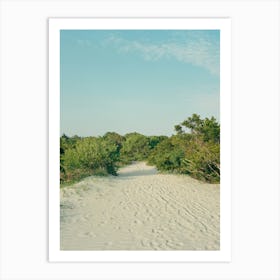 Sullivan's Island on Film Art Print
