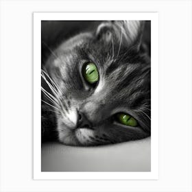 Cat With Green Eyes 1 Art Print